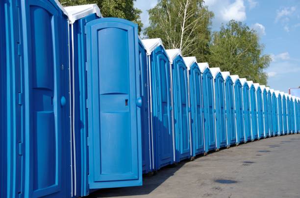Best Affordable portable toilet rental  in Island Lake, IL